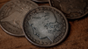 Monarch Morgan Dollar - Avi Yap - Nassif Estate