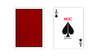 Limited Edition NOC x Shin Lim Playing Cards