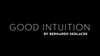 Good Intuition by Bernardo Sedlacek - Video Download