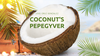Coconut's Pepegyver by Jose Cruz González - Video Download