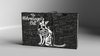 Schrodinger's Cat: Dead Black Edition Playing Cards
