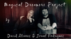 Magical Dreamers Project by David Alvarez Miro - Video Download