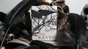 The Raven Black Dusk, Gilded Playing Cards