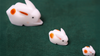 The Bunnies! 3D Rabbits (Parents, Kids & Grandpa)