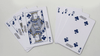Georgia Southern Playing Cards