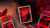 Morpho V2 (Carmine) Playing Cards by TCC Fashion