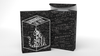 Schrodinger's Cat: Quantum Gilded Dead Black Playing Cards