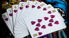 KEVIN STAAB 40TH ANNIVERSARY PIRATE PLAYING CARDS