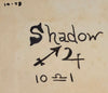 The History of Witchcraft - Book - Brother Shadow