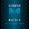 Elevated Matrix - Anthony Owen - Nassif Estate