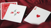 Red Roses Playing Cards by Daniel Schneider