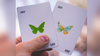 Butterfly Seasons Playing Cards Marked (Spring) by Ondrej Psenicka