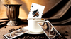Flexible Mocha Mousse Playing Cards by TCC
