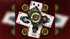 Bicycle Guns N' Roses by US Playing Card