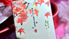 Splendor of the Four Seasons - Autumn  Playing Cards by Hidden Light