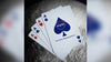 NASA HOLOGRAPHIC FOIL "MEATBALL" LOGO PLAYING CARDS