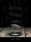 Spirit Water - Steve Drury