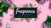 Fragrance - Calix