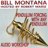 Pendulum Forcing With Any Pendulum - Bill Montana